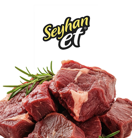 Seyhan Et