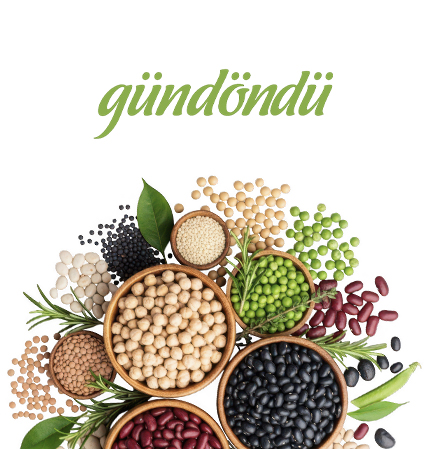 Gündöndü